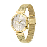 Hugo Boss Flawless Chronograph Silver Dial Gold Mesh Bracelet Watch for Women - 1502552