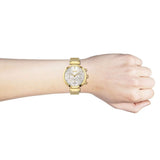 Hugo Boss Flawless Chronograph Silver Dial Gold Mesh Bracelet Watch for Women - 1502552