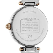 Coach Park Mother of Pearl Dial Silver Mesh Bracelet Watch for Women - 14503510