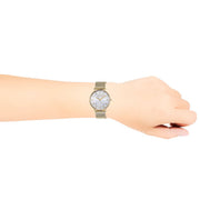 Coach Perry Silver Dial Gold Mesh Bracelet Watch for Women - 14503385
