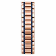 Lacoste Capbreton Blue Dial Two Tone Steel Strap Watch for Women - 2010963
