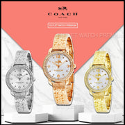 Coach Delancey Diamonds Silver Dial Gold Steel Strap Watch for Women - 14502354