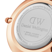 Daniel Wellington Classic Petite Cornwall White Dial Green NATO Strap Watch For Women - DW00100253