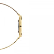 Daniel Wellington Classic Petite White Dial Gold Mesh Bracelet Watch For Women - DW00100348