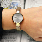 Calvin Klein Authentic Silver Dial Silver Mesh Bracelet Watch for Women - K8G23126