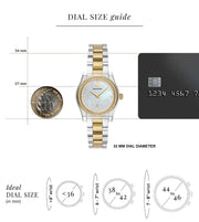 Emporio Armani Federica Mother of Pearl Dial Two Tone Steel Strap Watch for Women - AR11559