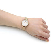 Daniel Wellington Classic Petite Evergold White Dial Gold Mesh Bracelet Watch For Women - DW00100350