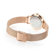 Daniel Wellington Petite Amber Brown Dial Gold Mesh Strap Watch For Women - DW00100476